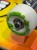 IMG_9131.jpeg
